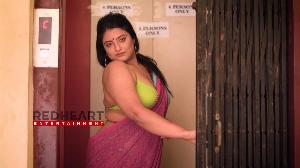 Sneha Purple Saree (21).jpg
